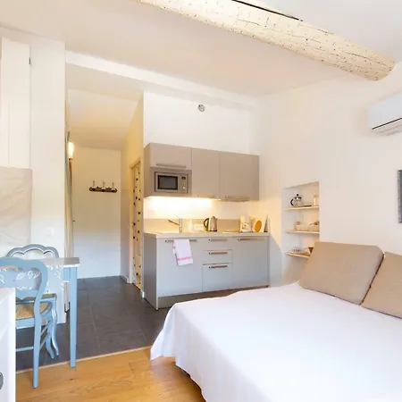 Apartment Fully Equipped Air-conditioned Studio Under The Roofs Of Old *